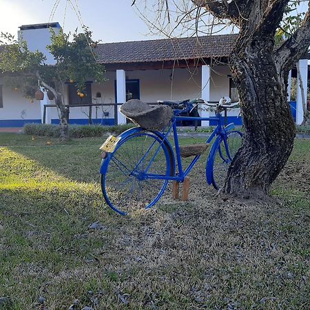 Monte Das Laranjeiras Corticadas do Lavre Ngoại thất bức ảnh