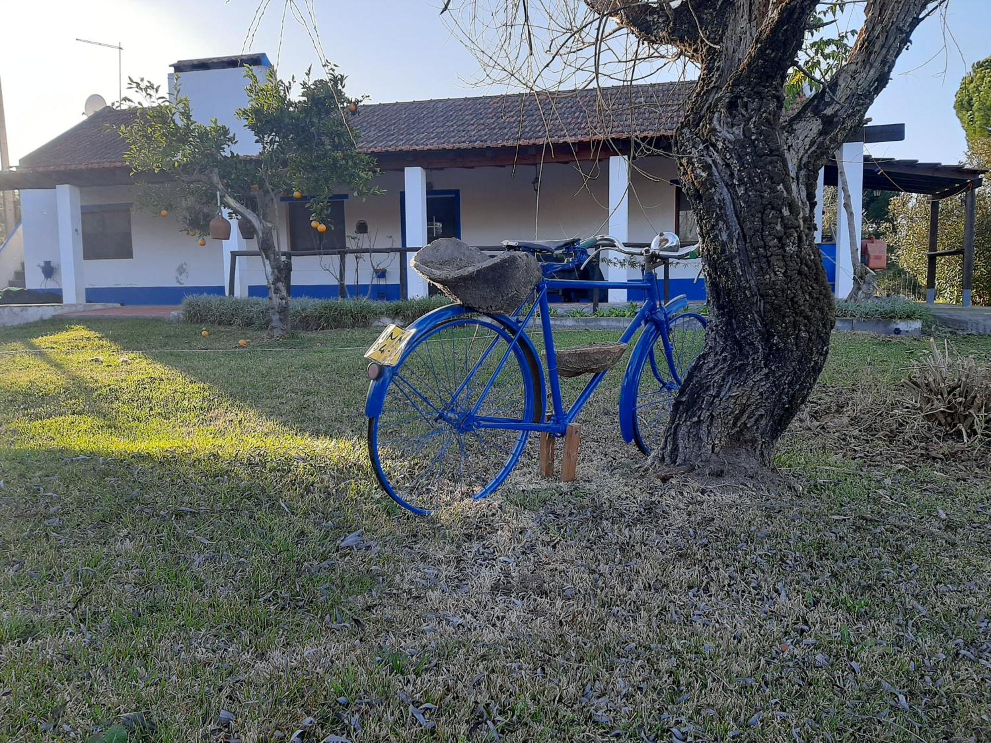 Monte Das Laranjeiras Corticadas do Lavre Ngoại thất bức ảnh